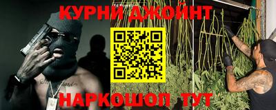 сатива Кимры