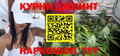 сатива Кимры