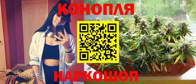 герыч Кингисепп