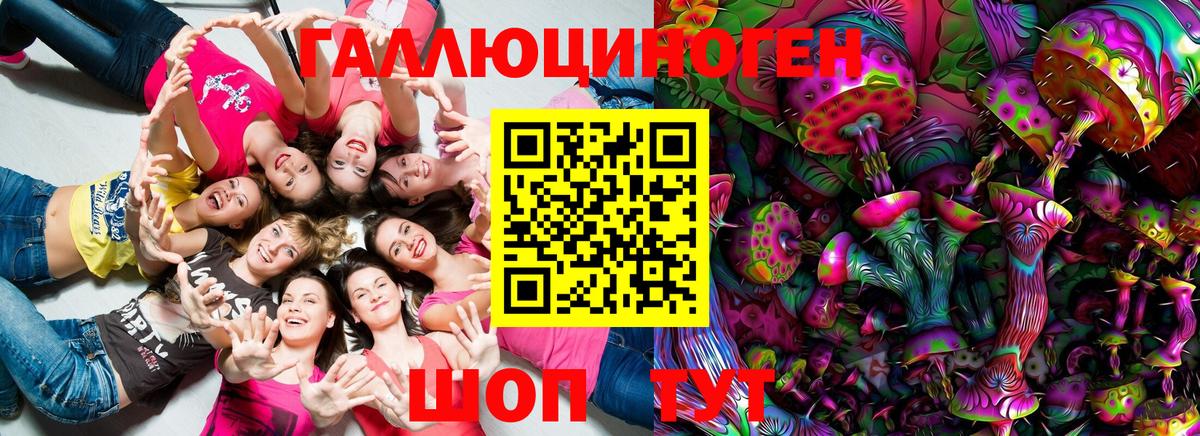 Королёв  Галлюциногенные грибы Cubensis  Вход с VPN 