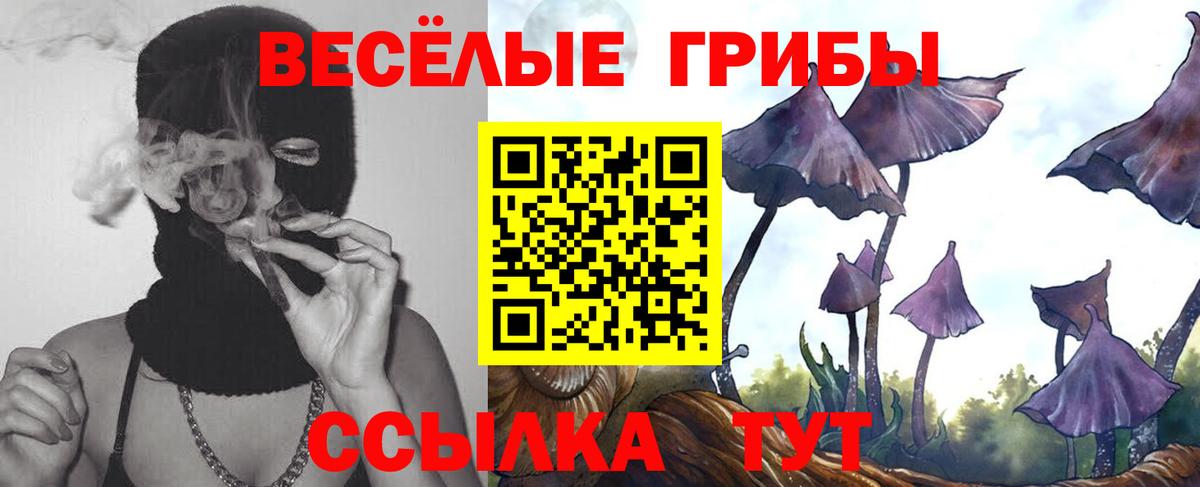 Галлюциногенные грибы Psilocybe Королёв